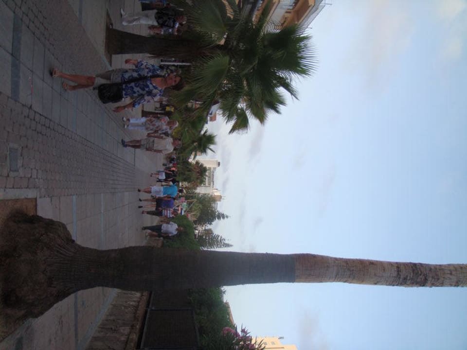 Einkaufsmeile die direkt ans Hotel grenzt Hotel Biniamar