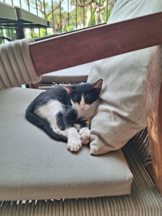 Sonstiges Sherwood Exclusive Kemer