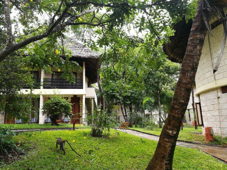 Gartenanlage Baobab Beach Resort & Spa