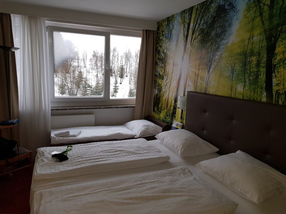 Zimmer AHORN Hotel Am Fichtelberg