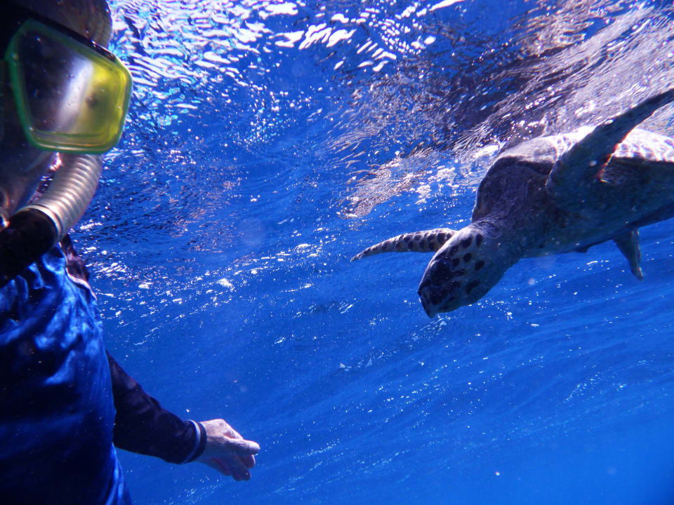 Strand Bliss Nada Beach Resort