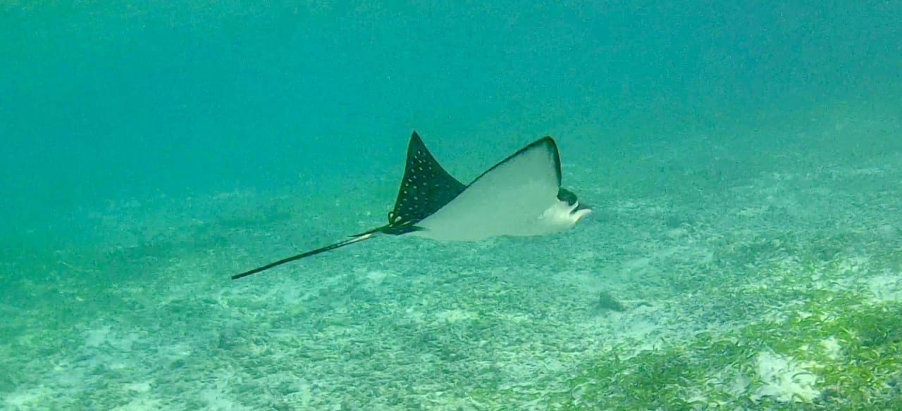 Sport & Freizeit Adaaran Select Hudhuran Fushi - Premium All Inclusive