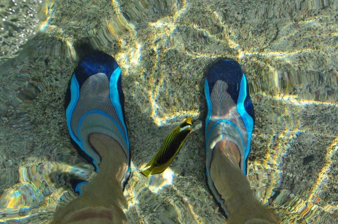 Plaża Three Corners Sea Beach Resort