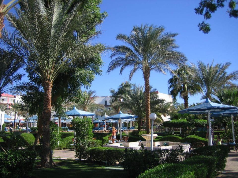 Blick aufs Hotel Albatros Sharm Resort