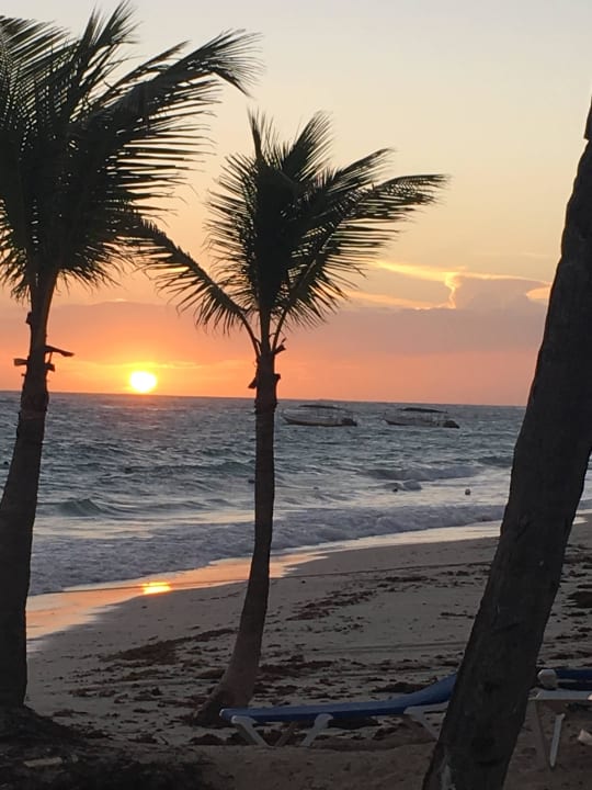 Strand  Hotel Riu Palace Bavaro