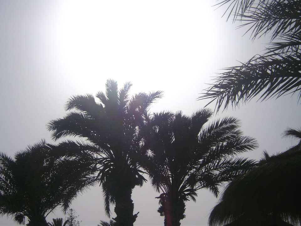 Sonnenuntergang Hotel El Mouradi Djerba Menzel