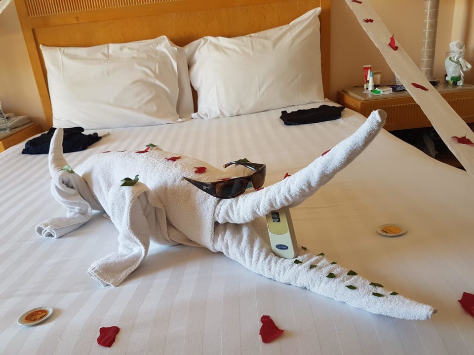 Zimmer Hotel JAZ Makadi Star & Spa