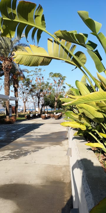 Gartenanlage Labranda Alantur Resort