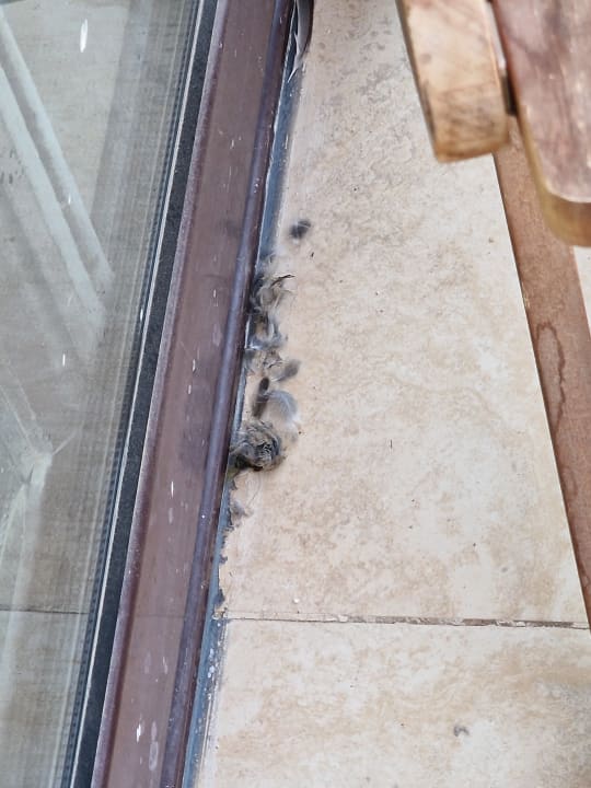 Zimmer Mövenpick Waterpark Resort & Spa Soma Bay