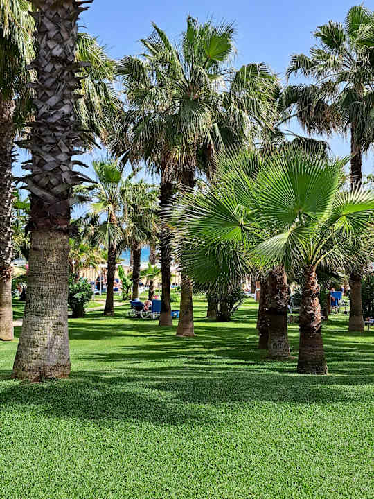 Gartenanlage Hotel Süral Resort