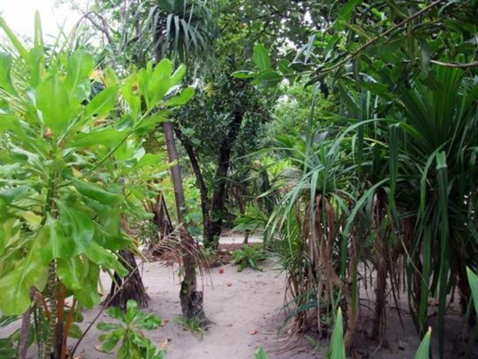 Ausblick von unserem Bungi Reethi Beach Resort