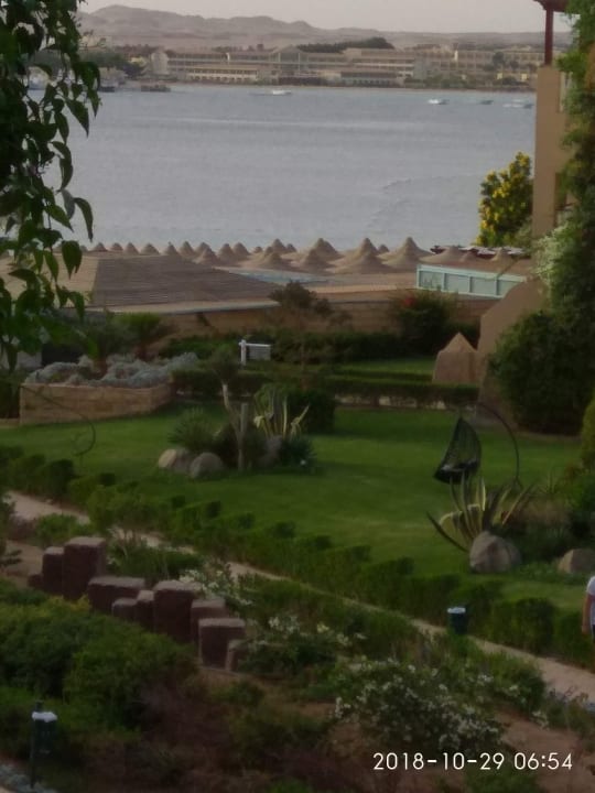 Zimmer Prima Life Makadi Resort