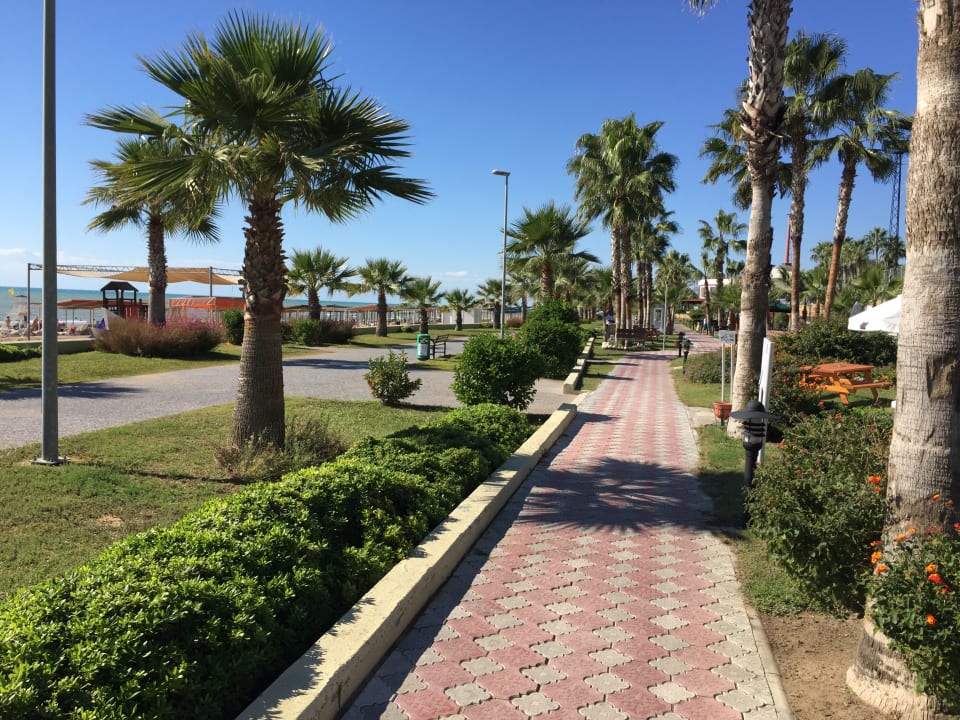 Sonstiges Kamelya Collection Selin Hotel