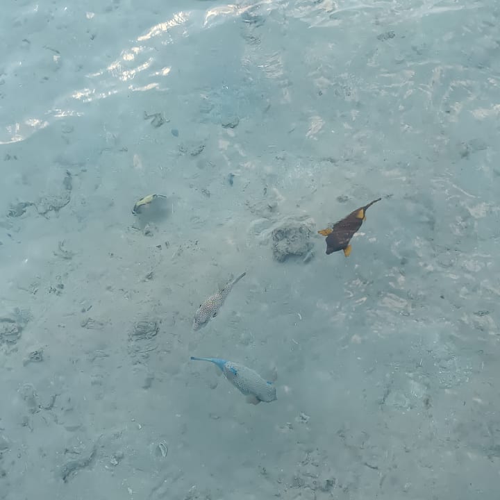 Strand Stella Beach Resort & Spa Makadi Bay