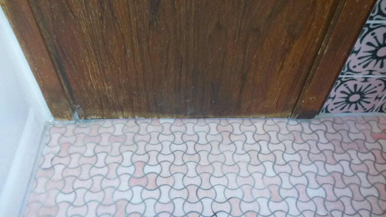 Verschimmelte und aufgeqwollene Badezimmertür PLAZA Premium Timmendorfer Strand