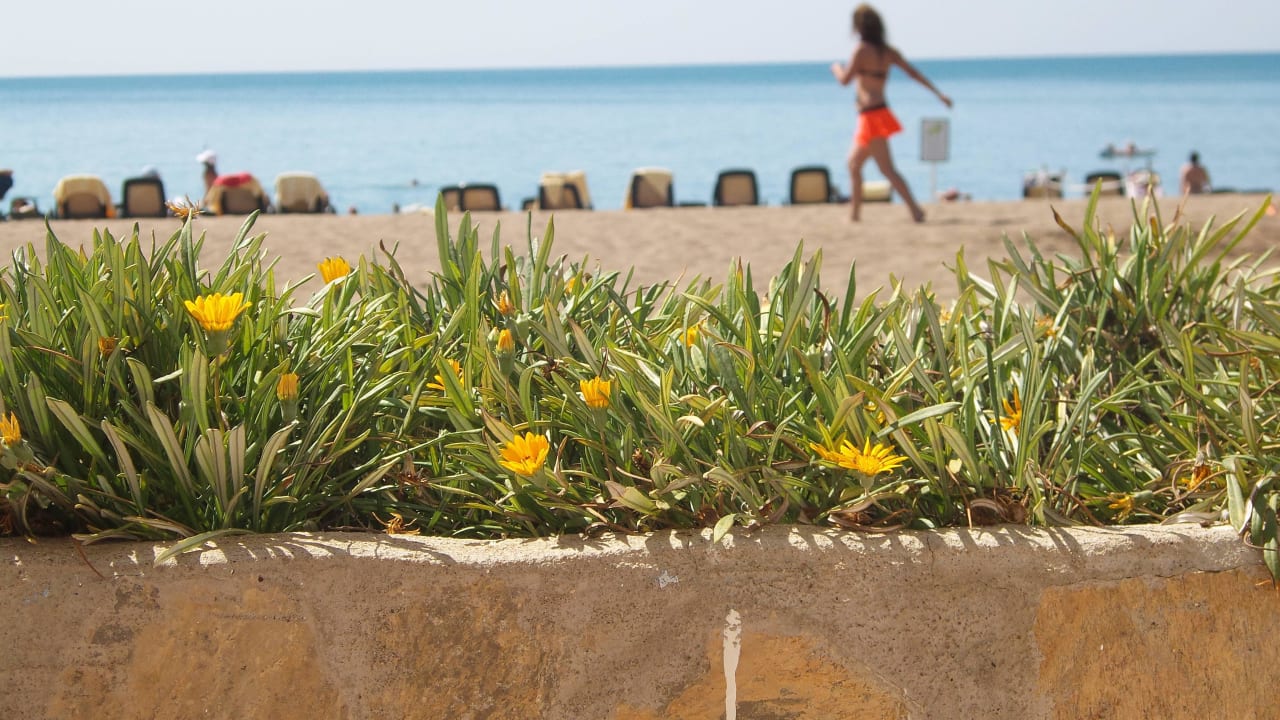 Hotelstrand IC Hotels Santai Family Resort