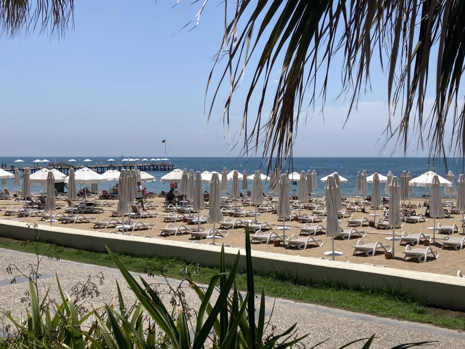 Strand PALOMA Perissia