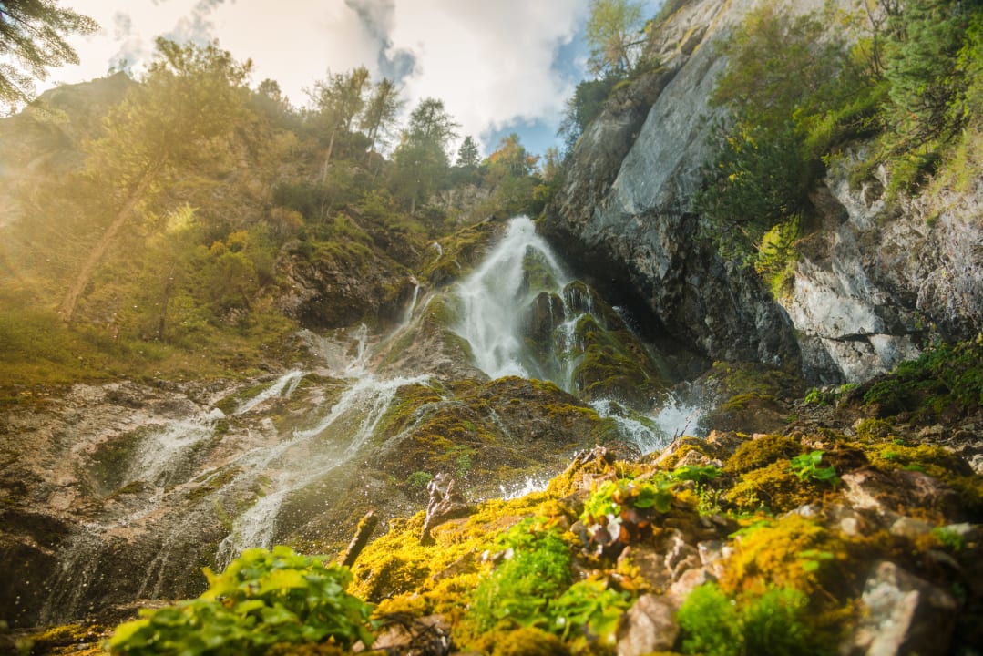 Sonstiges Bio-Holzhaus & Landhaus Heimat