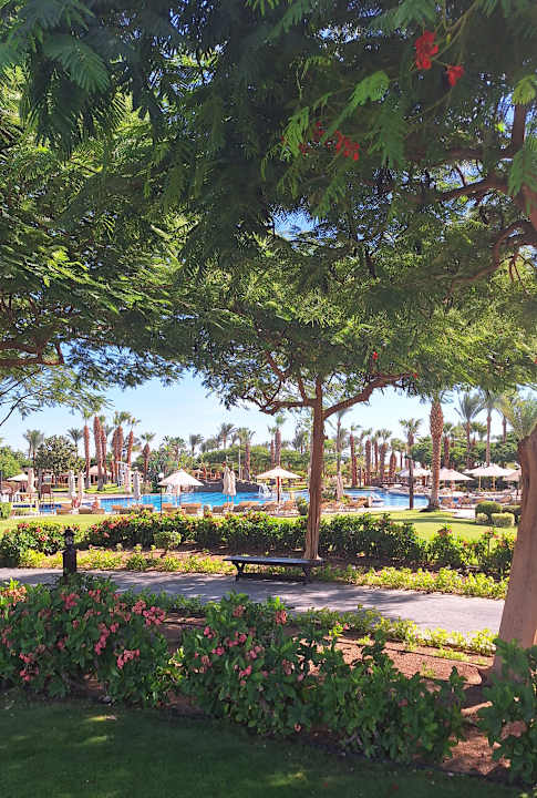 Gartenanlage Steigenberger ALDAU Beach Hotel