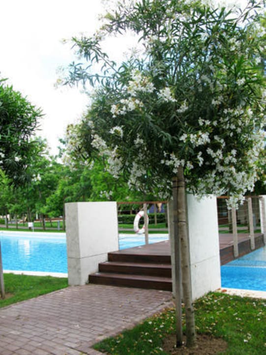 Сад Gloria Serenity Resort