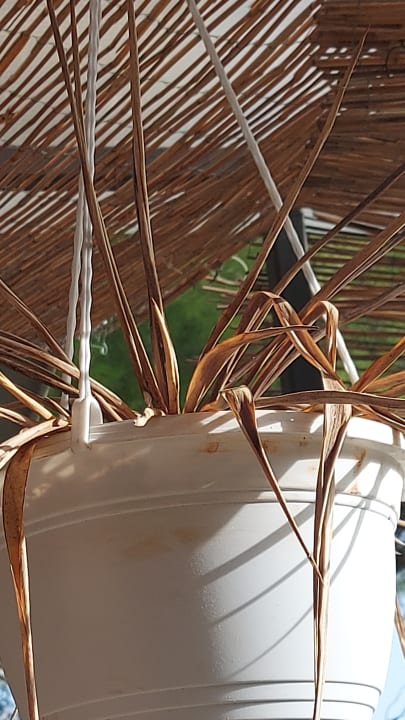 Sonstiges Aminess Younique Senses Resort