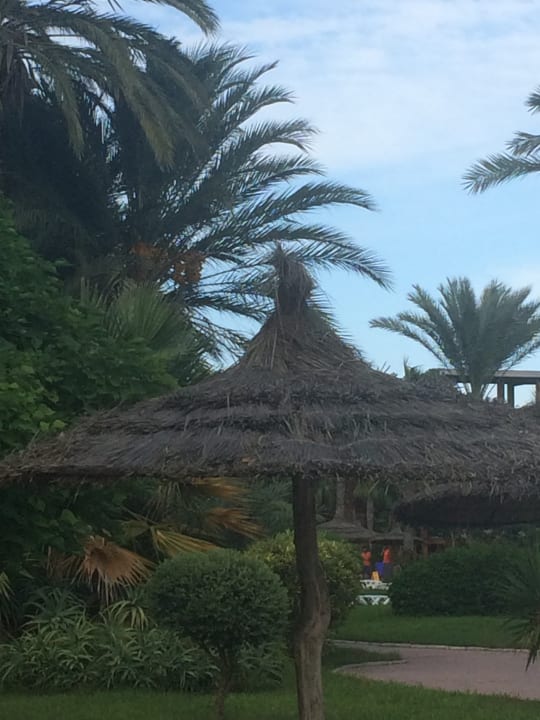 Gartenanlage Sahara Beach Aquapark & Resort