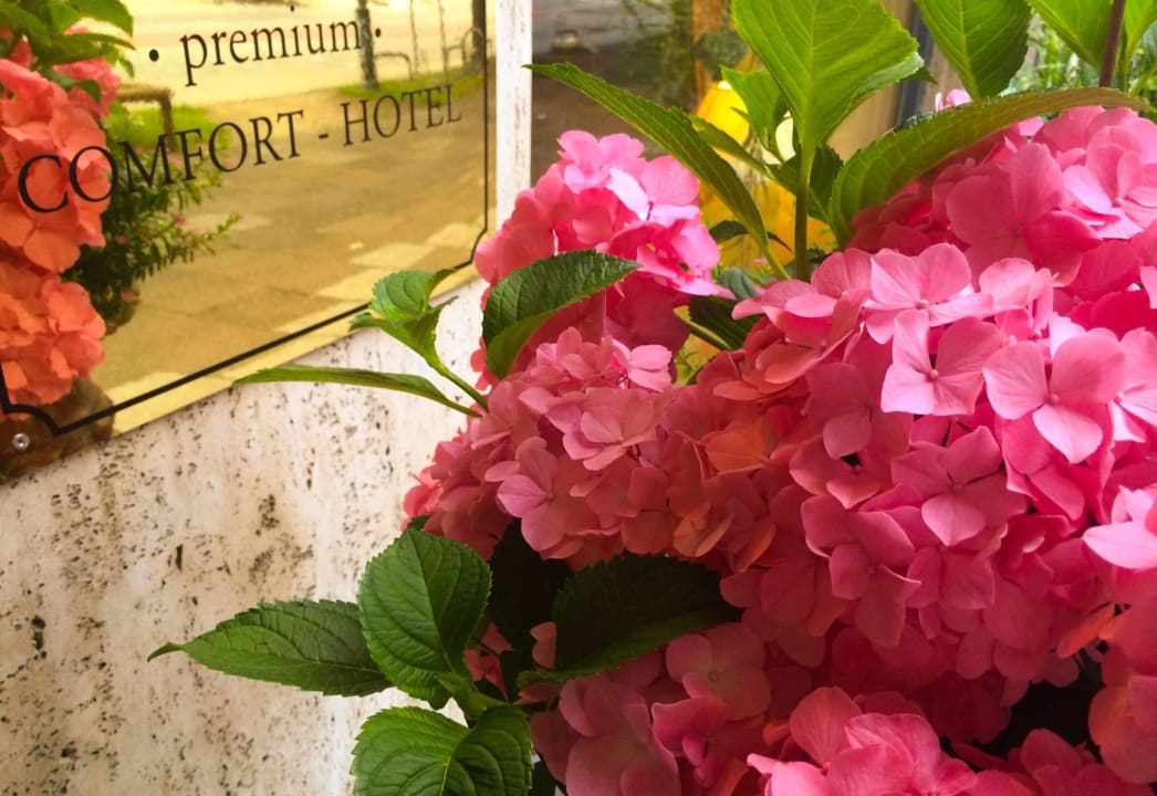 Hoteleingangsbereich City Hotel Ost am Kö