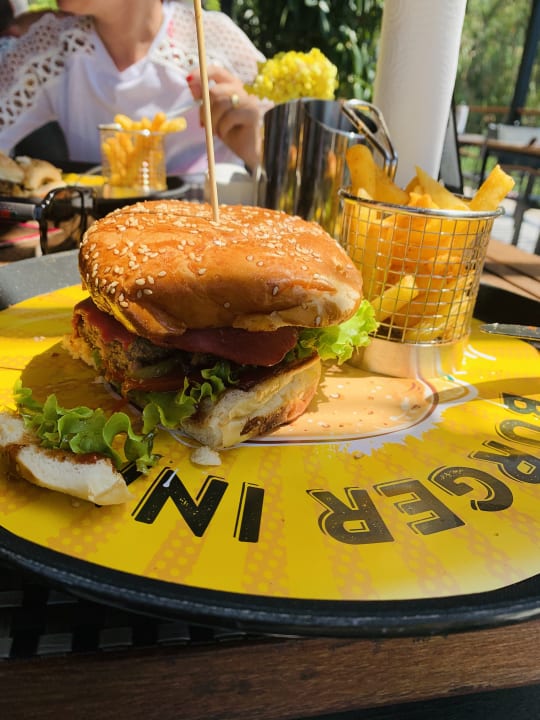 Gastro Arum Barut Collection