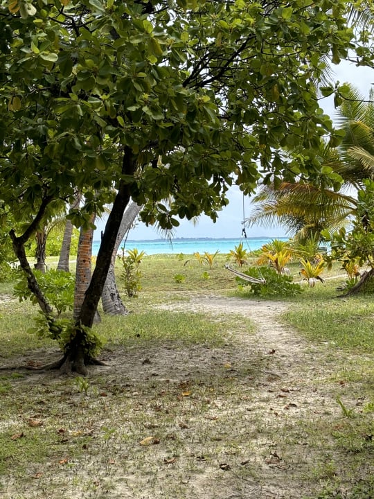 Außenansicht Meeru Maldives Resort Island