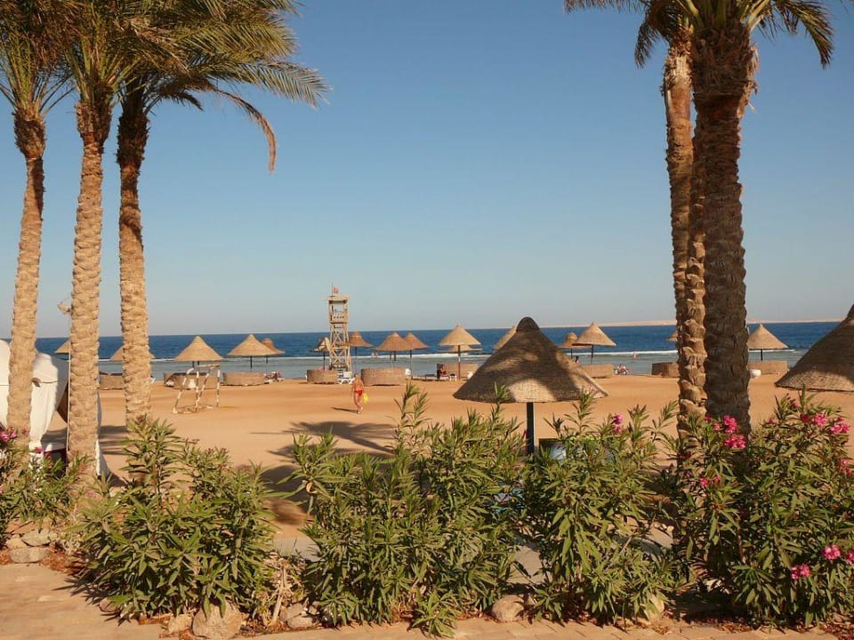 Plaża Parrotel Aqua Park Resort