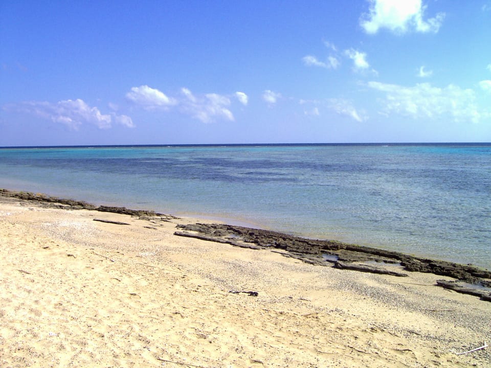 Strand Ecolodge Bedouin Valley