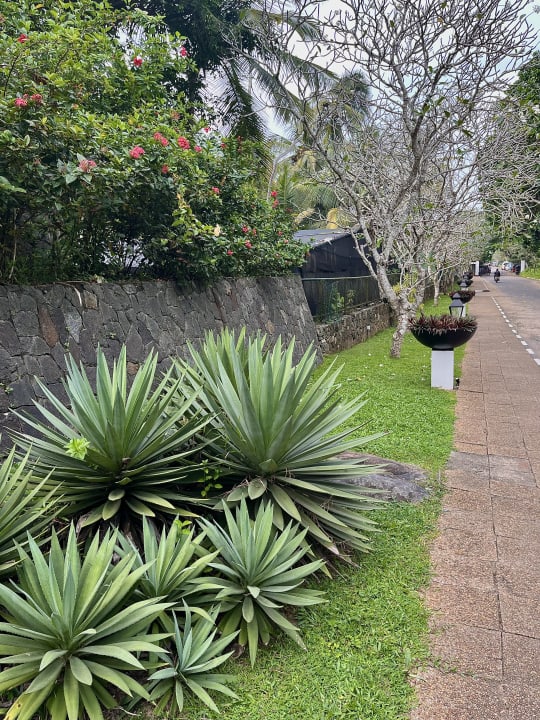 Sonstiges Taj Bentota Resort & Spa