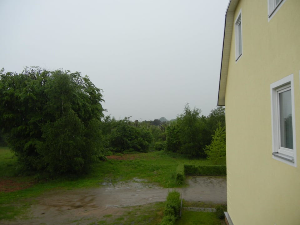 Zimmerausblick direkt dahinter die Landebahn meinHotel