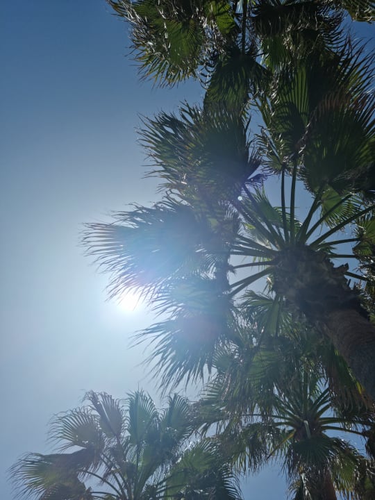 Strand Hotel Miramare Beach