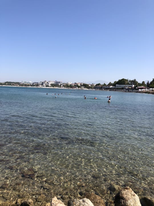 Strand Can Garden Beach
