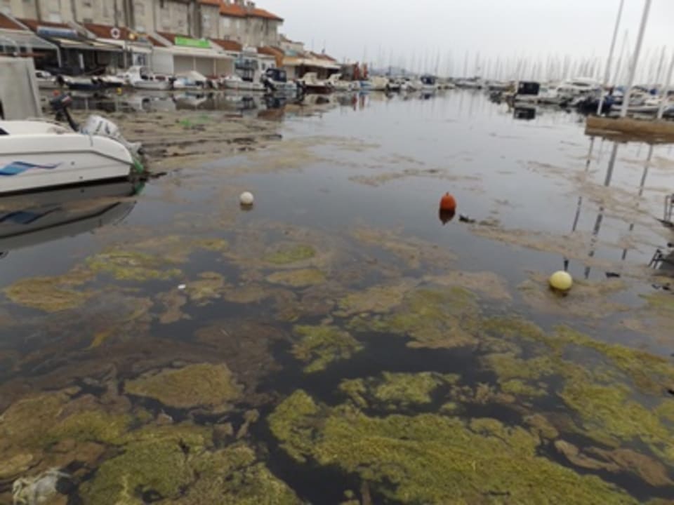 Außenansicht Hotel IN Biograd