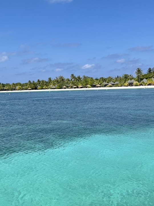 Ausblick Kuredu Island Resort & Spa