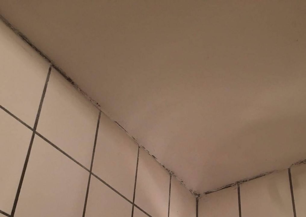 Schimmel an der Decke Art.Quartier