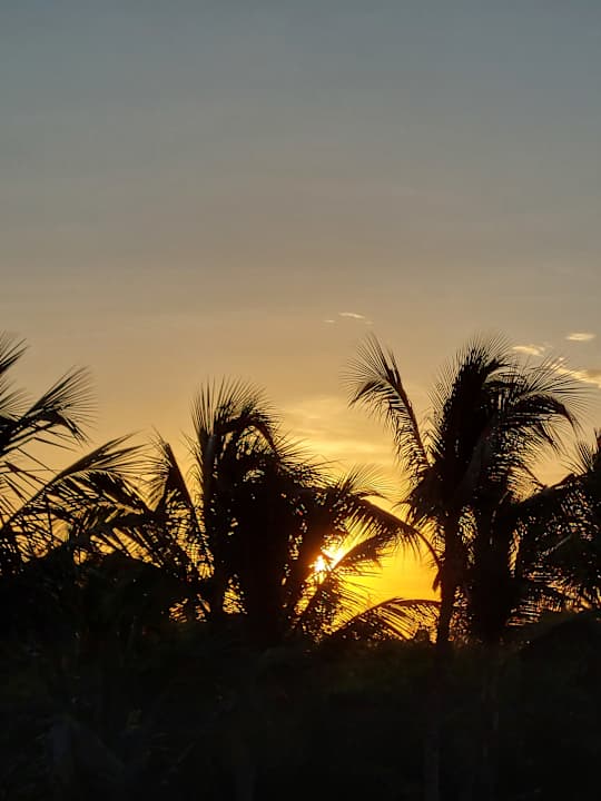 Außenansicht Dreams Flora Resort & Spa - All Inclusive