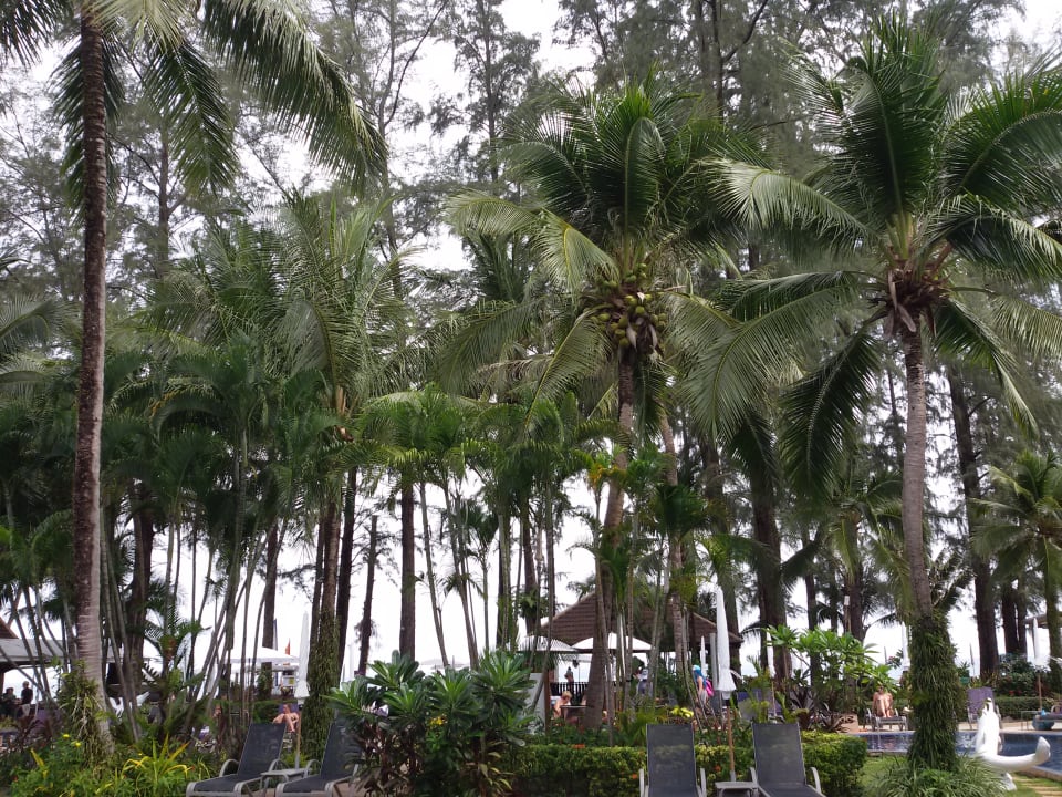 Gartenanlage Best Western Premier Bangtao Beach Resort & Spa
