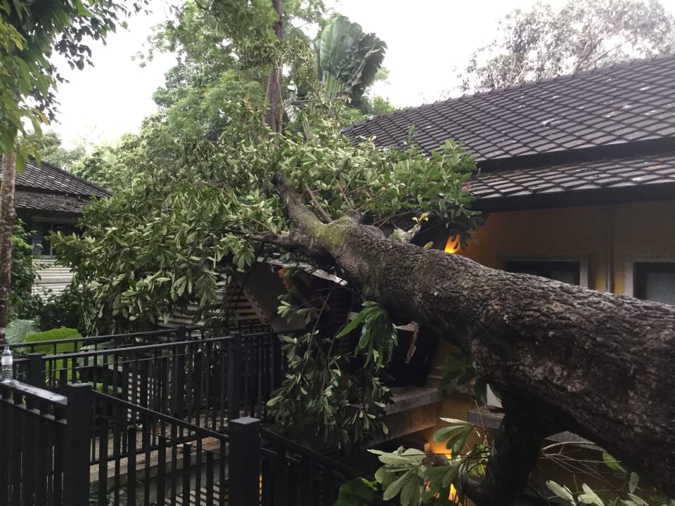 Gartenanlage Moracea by Khao Lak Resort