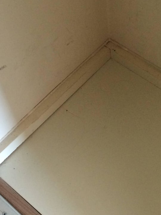 Kleiderschrank innen dreckig Marvida Family Eco