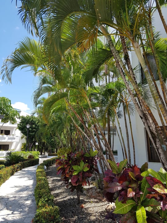 Anlage Sunscape Puerto Plata