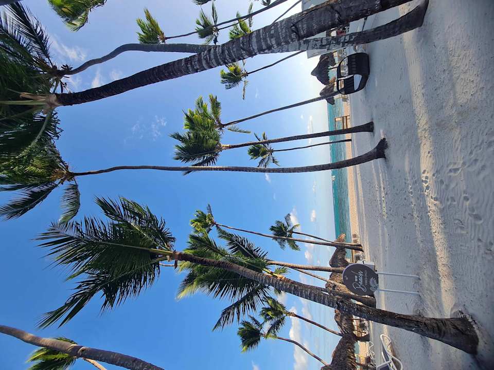 Strand Meliá Punta Cana Beach Resort - A Wellness Inclusive For Adults Only