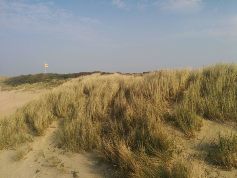 Strand bei schönem Wetter 2 Roompot Strandpark Duynhille