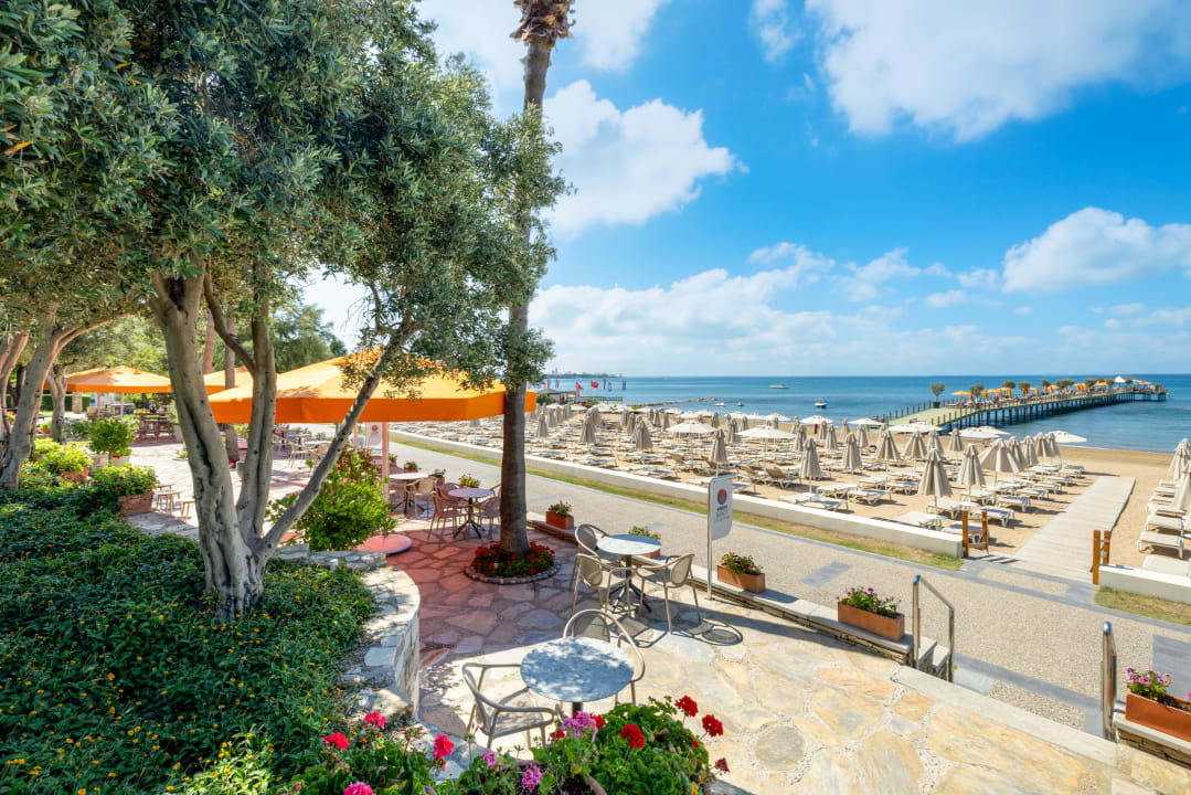 Ausblick Arum Barut Collection