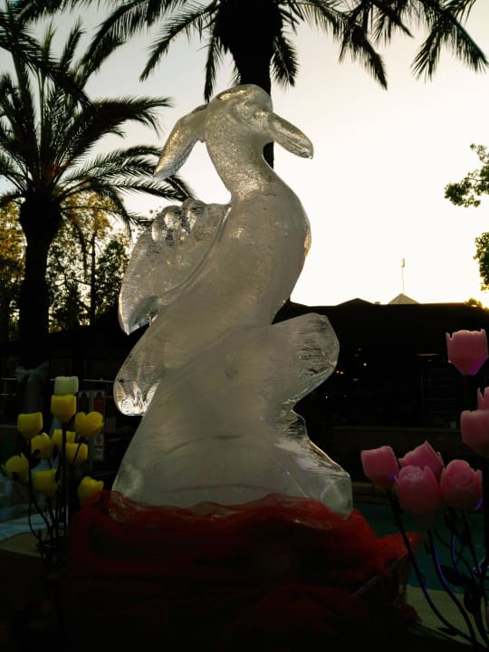 2016' Monachus Family Resort Sorgun