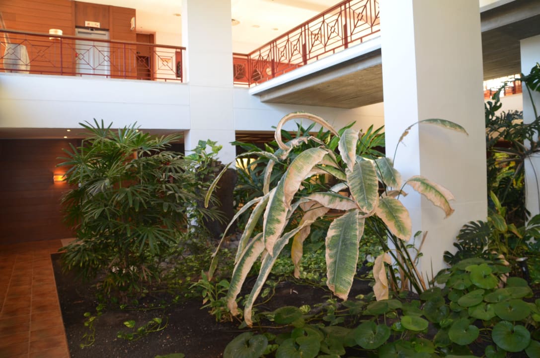 Untergeschoss Hotel Costa Calero