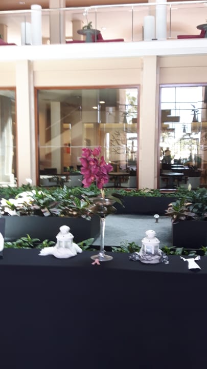 Lobby Hipotels Playa la Barrosa