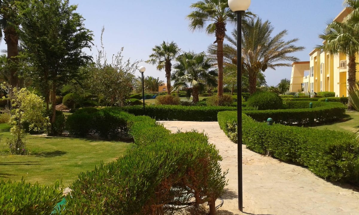 Ogród Blue Reef Red Sea Resort